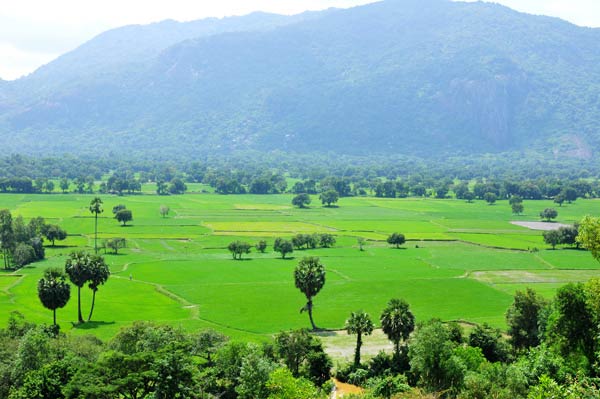 Bức tranh thủy mặc tr&ecirc;n đồi T&agrave; Pạ An Giang